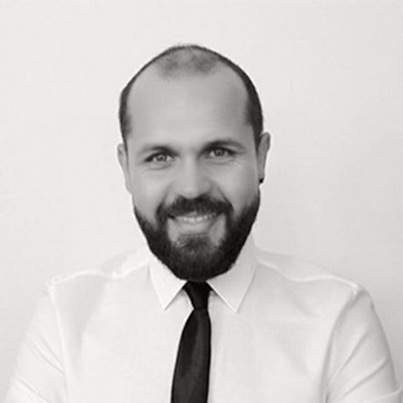 NICOLAE VIDAN